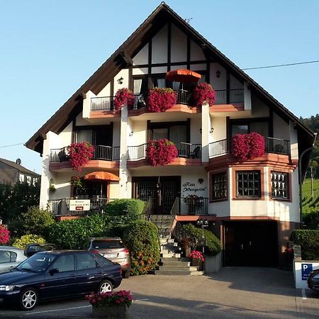 Haus Weingarten Appartements-Zimmer Эрнст Экстерьер фото